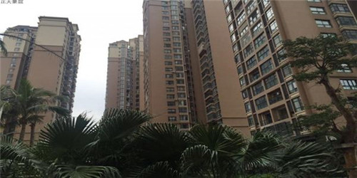 白茶产地哪里的好(白茶哪里的产地醉好)
