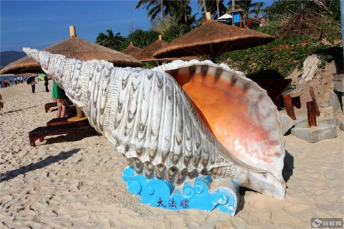 野鸽子撞窗的十大预兆是什么