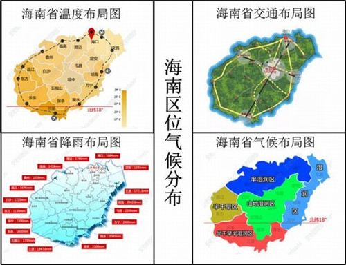 红腿龟苗