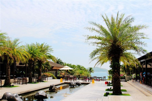 青礁慈济宫（慈济东宫）冬天适合去吗(青礁慈济宫景区有关闭吗)
